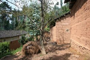 木耳上村 木耳上村