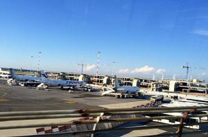 羅馬菲烏米奇諾機場 羅馬菲烏米奇諾機場