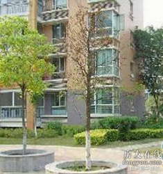 三金福邸 三金福邸