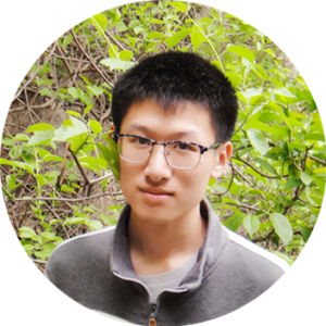 月季花中的星辰 月季花中的星辰