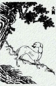 國風·齊風·盧令 國風·齊風·盧令