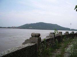 大軍山[武漢市大軍山]