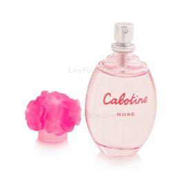 Calotine歌寶婷 Calotine歌寶婷