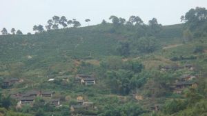 山背後自然村 山背後自然村