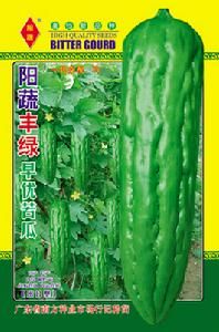 陽蔬豐綠早優苦瓜 陽蔬豐綠早優苦瓜