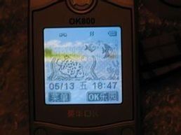 單色螢幕 單色螢幕