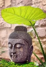 《一葉一菩提》 《一葉一菩提》