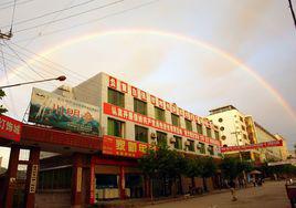 龍山鎮[山東莒縣龍山鎮]