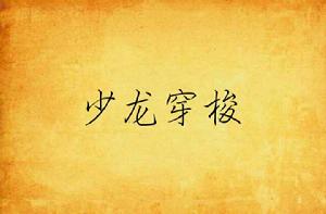 少龍穿梭 少龍穿梭