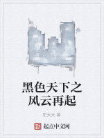 黑色天下之風雲再起 黑色天下之風雲再起