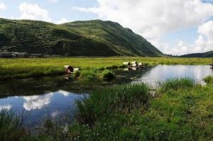 北海濕地 北海濕地