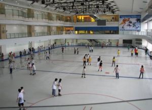 寶龍冠軍溜冰場
