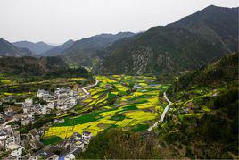 績溪縣家朋鄉尚村村 績溪縣家朋鄉尚村村