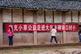 大興鄉[四川南充市嘉陵區大興鄉]