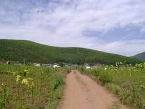 東壩子村 東壩子村