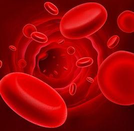 紅細胞減少 紅細胞減少