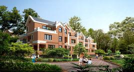 美新玫瑰大道 美新玫瑰大道