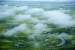 撓力河濕地 撓力河濕地