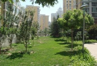 朝內大街79號樓 朝內大街79號樓