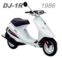 DJ1R