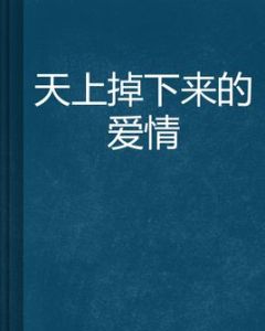 天上掉下來的愛情 天上掉下來的愛情