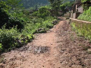 田口村自然村 田口村自然村