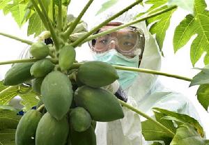 抗生素抗性基因 抗生素抗性基因