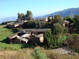 大塘塘自然村 大塘塘自然村