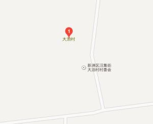 大泊村[湖北省武漢市新洲區汪集街道大泊村]
