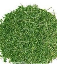 含山絞股藍茶 含山絞股藍茶