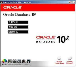 Oracle 10g