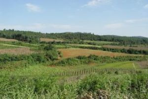 新山德里村 新山德里村