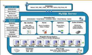 超大型資料庫 超大型資料庫