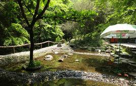 千島湖森林氧吧 千島湖森林氧吧