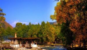 互助浪士當 互助浪士當