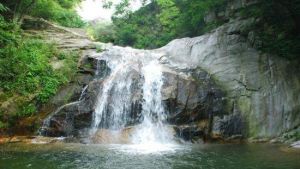 天馬保護區 天馬保護區