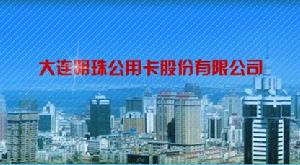 大連明珠公用卡股份有限公司