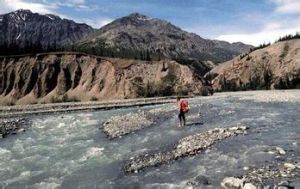 塔琴西尼&middot;阿爾塞克／克盧恩／朗格爾&middot;聖埃利亞斯國家公園和冰川灣國家公園