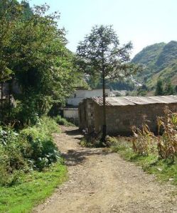 灣子頭村 灣子頭村