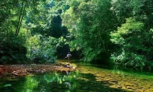 九阜山自然保護區 九阜山自然保護區