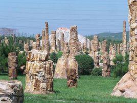 遼寧朝陽鳥化石國家地質公園 遼寧朝陽鳥化石國家地質公園