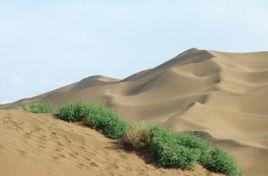 永春國家4A級景區 永春國家4A級景區