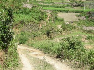 木耳下村 木耳下村