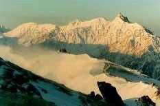 大飛水原始森林 大飛水原始森林