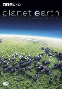 行星地球之大平原