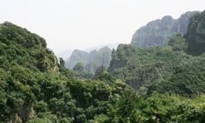 梧桐嶺風景區 梧桐嶺風景區