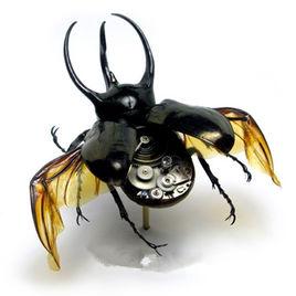 蒸汽昆蟲 蒸汽昆蟲