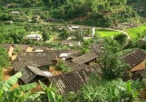 前大橋頭村 前大橋頭村