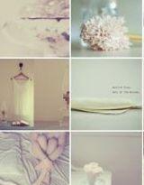 呆哥哥,你完了! 呆哥哥,你完了!