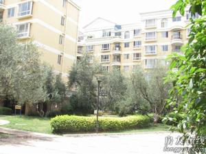 銀苑小區 銀苑小區